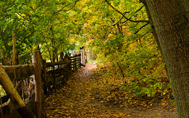 dróżka obok płotu