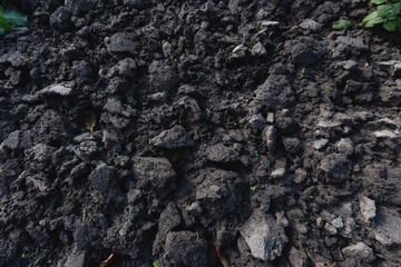 Fertil soil background texture. Background dark fertile soil with compost for planting on the farm