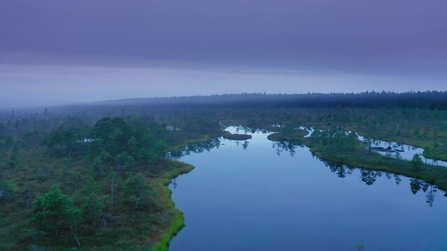 Aerial drone shot of raised bog pond and islands in fog during sunrise
Huge swamps in Kemeri National Park, Latvia.