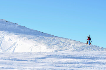 skiers