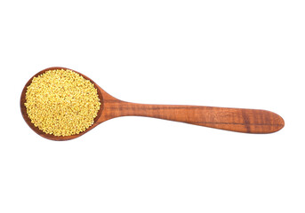 sorghum isolated on white background