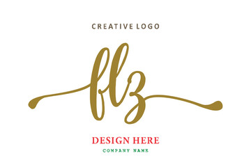 FLZ  lettering logo is simple, easy to understand and authoritative