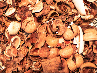 Close up macro walnut organic nature harvest vegetarian fruits brown wood colorful background wallpaper copy space banner pattern texture cerative graphic design for advertisement bigsale shop online