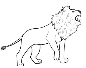 African lion. Wild animal. Black and white vector illustration for coloring book