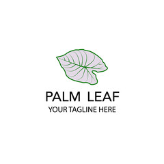 palm leaf line art logo vector illustration minimalist design