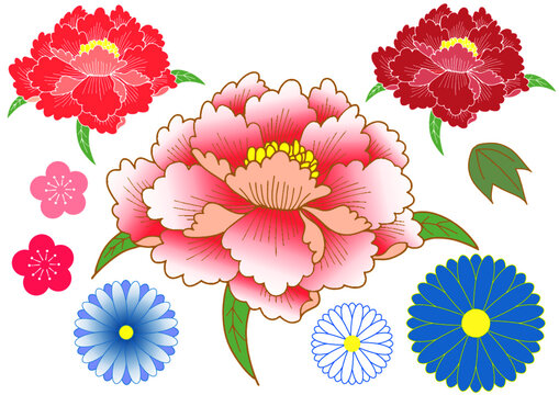 991 Best 和柄 牡丹 Images Stock Photos Vectors Adobe Stock