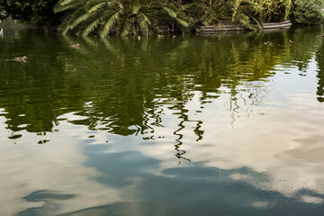 Lago de Chapultepec Ciudad de México