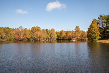 autumn in the park