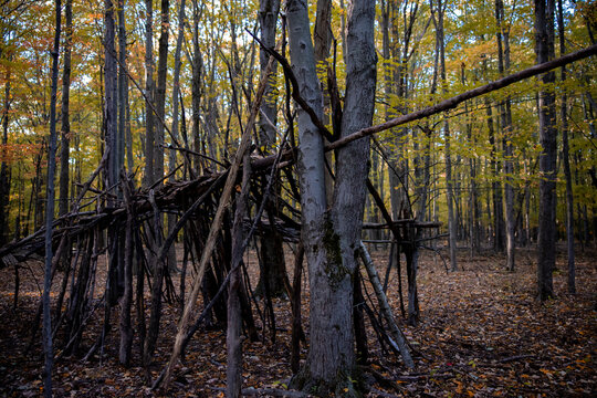 Mystic timber house / witch house in scary forest. 