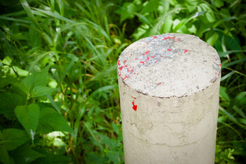 cement column in woods