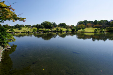 Fototapeta premium 熊本にある水前寺公園の日本庭園