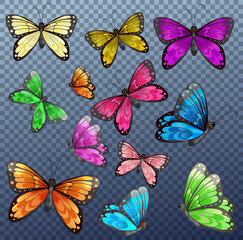Set of different color butterfly on transparent background