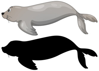 Set of sea lion characters and its silhouette on white background