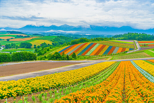 北海道美瑛町」の写真素材 | 19,409件の無料イラスト画像 | Adobe Stock