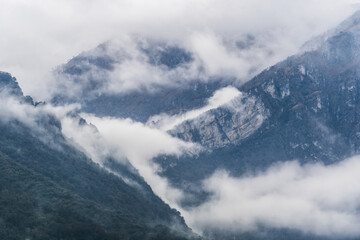 Foggy layered mountain landscape. Foggy mountains and forest. Morning valley with forest and fog view from up. Mystic pine forest in the mountains