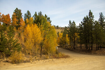 Fall 2020 along Marshall Pass
