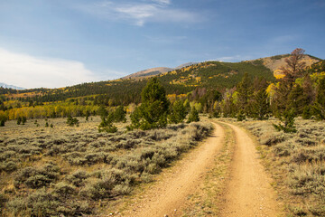 Fall 2020 along Marshall Pass