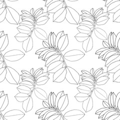 Seamless pattern line art branch with leaves on white. Art creative nature black background for coloring book, wrapping, textile, wallpaper, sticker