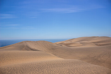 Fototapeta na wymiar estas dunas fueron el lienzo del viento 
