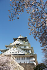 大阪城の天守閣と桜