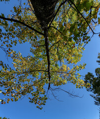 樹木公園の風景