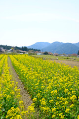 春の日本の原風景