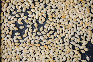 Closeup of freshly roasted and salted pumpkin seeds on a baking sheet

