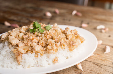 Fried Chicken with Garlic on Rice.  Thai food concept