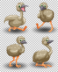 Set of cute goose on transparent background