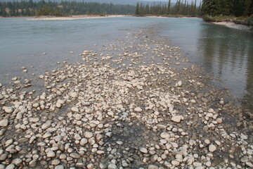 Walking On The Rocks, Jasper National Park, Alberta