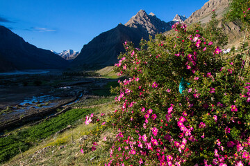 Different views of the Pin Valley