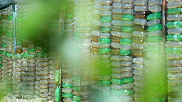 pan shot of recycled plastic bottles used as a wind breaker from strong winds in a vegetable garden