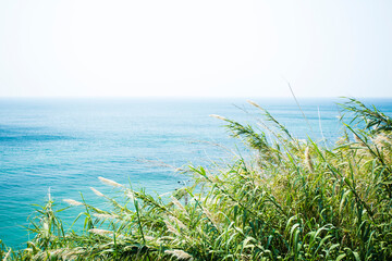 みなべ町から見た景色