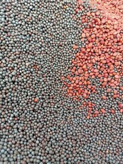 red lentils background