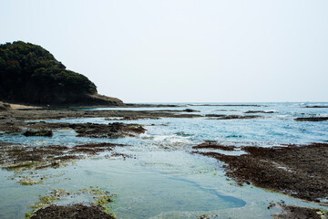 Fototapeta na wymiar 千里の浜