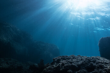 underwater view of a reef