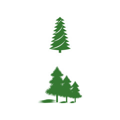 Cedar tree vector icon illustration design template