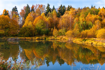 Yellow autumn forest reflected on the smooth water of a calm lake