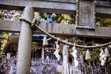 玉置神社境内 © Paylessimages
