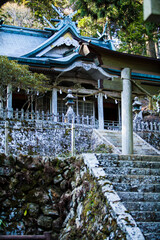 玉置神社境内 © Paylessimages