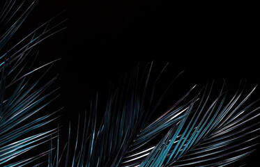 Obraz premium Gold palm leaves isolated on a black background top view frame with copy space. abstract poster.