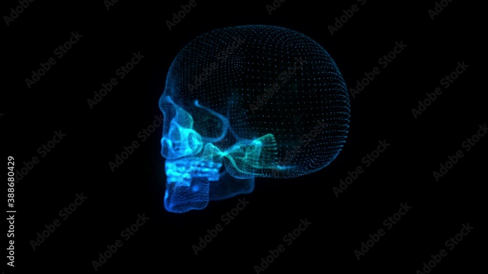 Poster abstract image of a skull in the form of particles in space, consisting of points. skull animation c