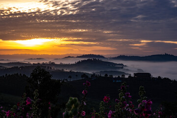 Landscape & Nature (Khao Kho, Thailand)
