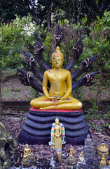 Chiang Saen, Thailand - Wat Phra Buat Serpent Buddha