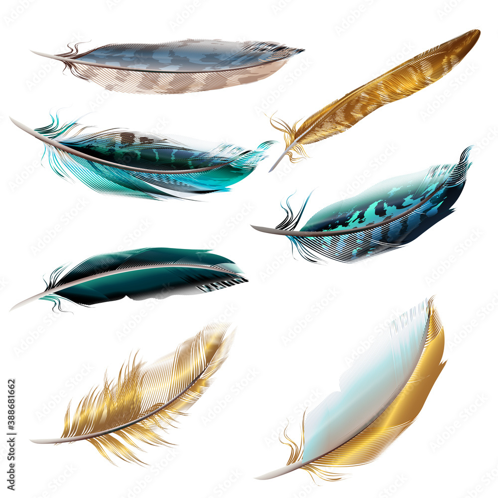 Poster collection of vector realistic feathers for design
