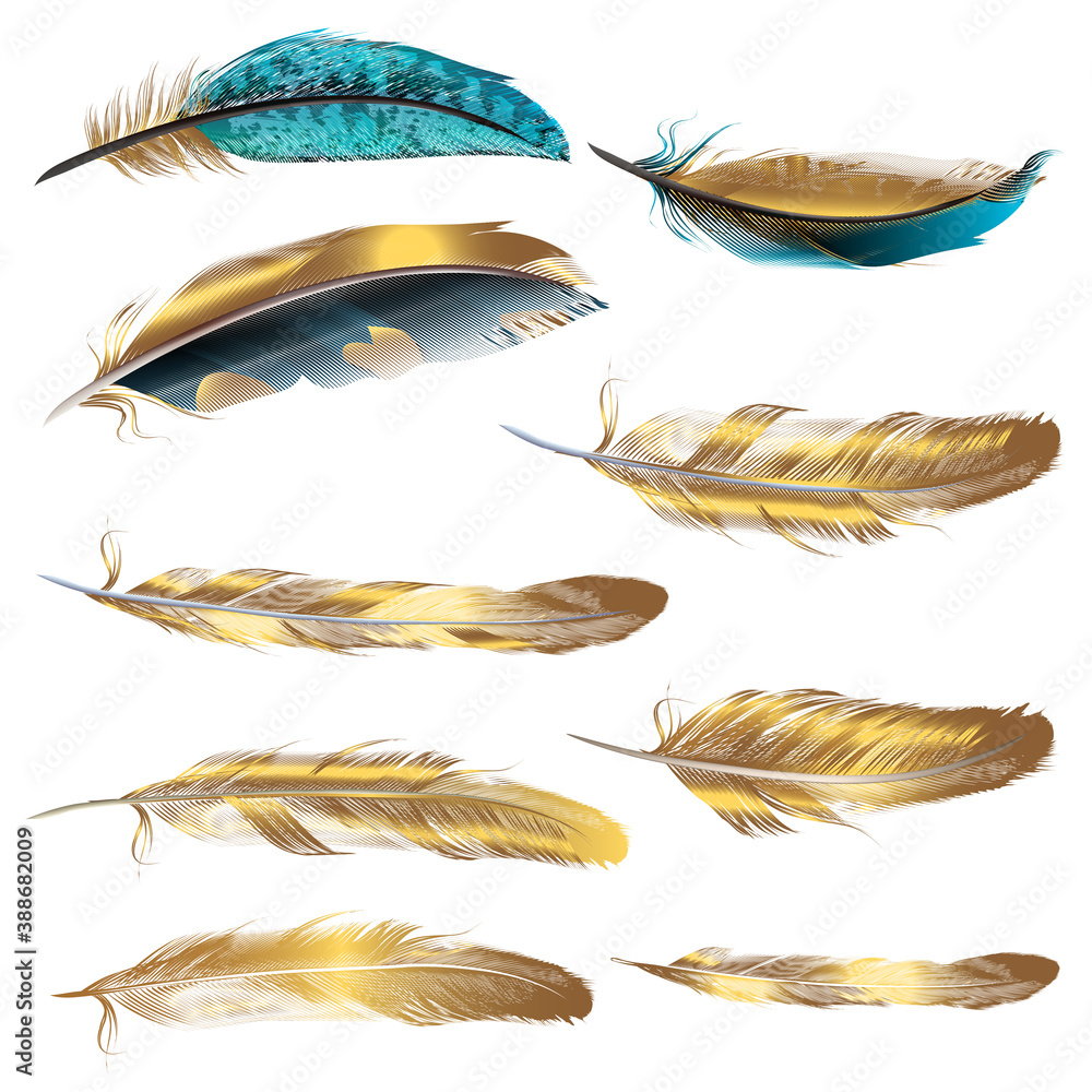 Aufkleber set of vector realistic feathers isolated on white