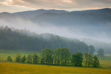 Morning mist over Cades Cove in the Great Smoky Mountains National Park