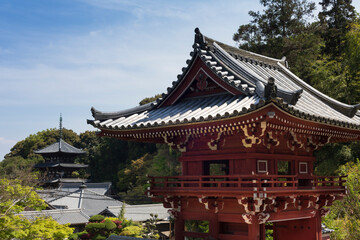 Fototapeta premium 當麻寺奥院の楼門と西塔