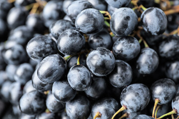 Sweet ripe grapes, closeup view
