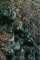 mossy rock with leaves ontop 